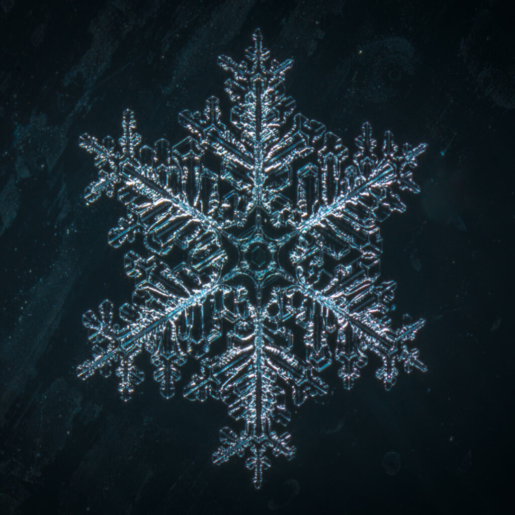 copos de nieve