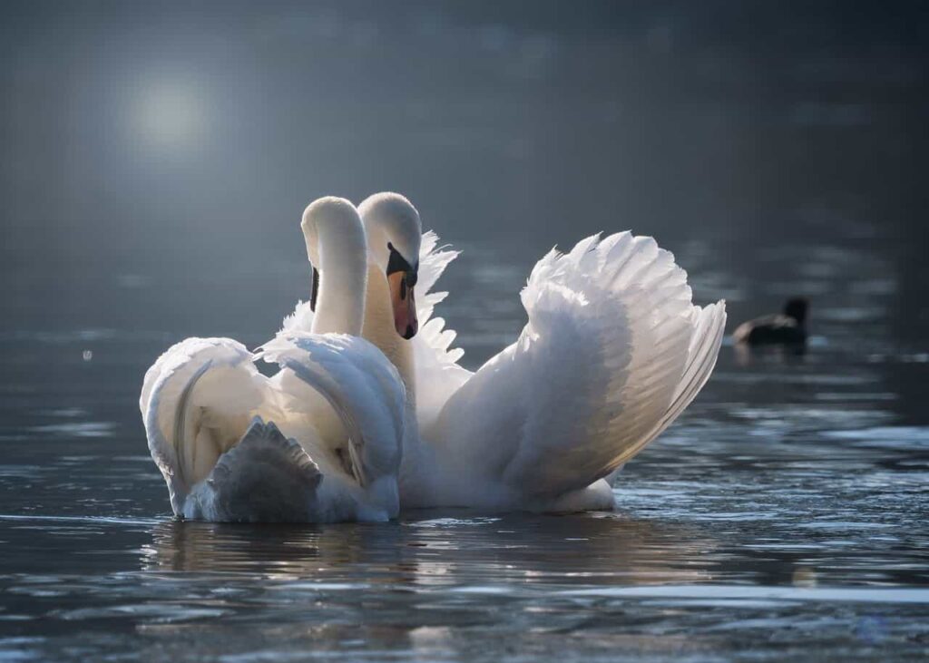 Escapadas más románticas
