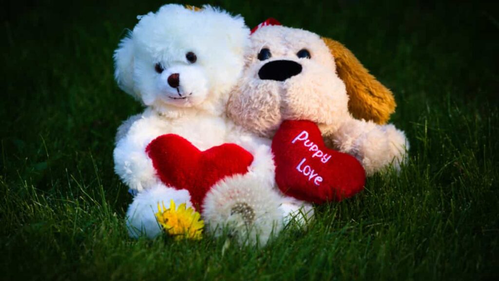 amigos que se enamoran, relaciones con los amigos son las mejores, amor entre amigos, enamorarse de un amigo, relacion de pareja con un amigo